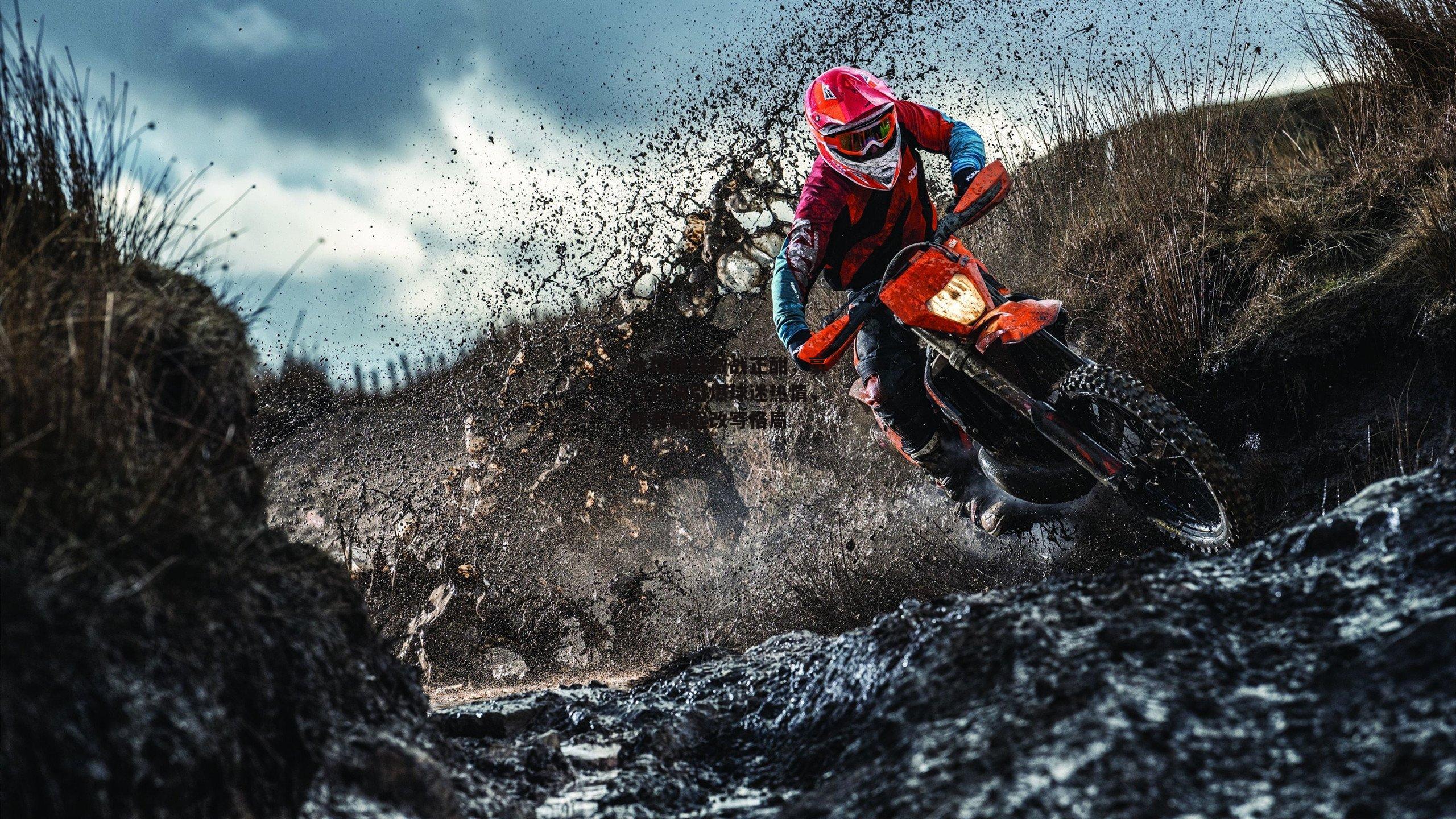 冰球联赛激战正酣,豪门对决引爆球迷热情,新秀崛起改写格局